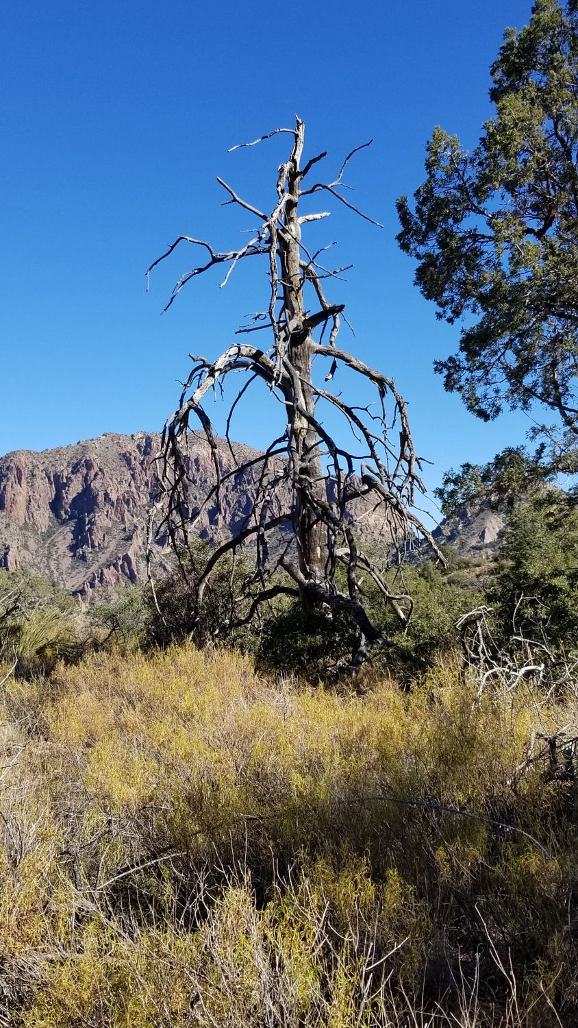 Basin and Window View Hikes 